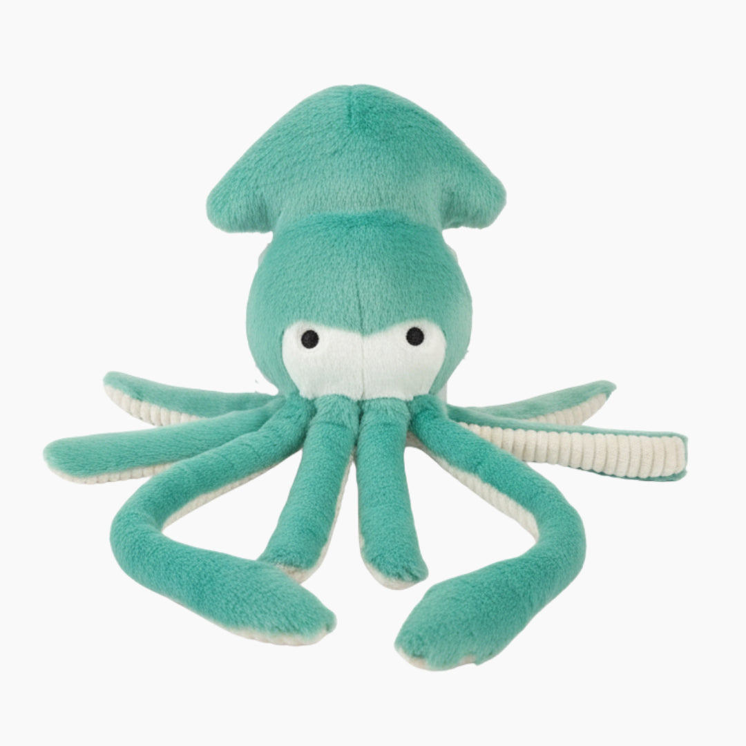 Claude Squid
