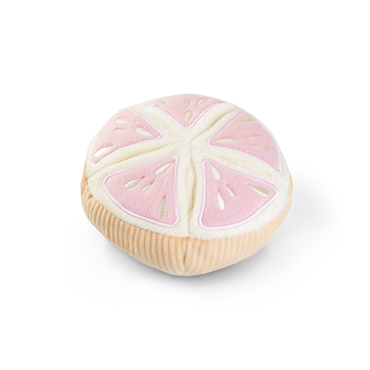 Grapefruit // Enrichment Dog Toy // Snuffle Toy