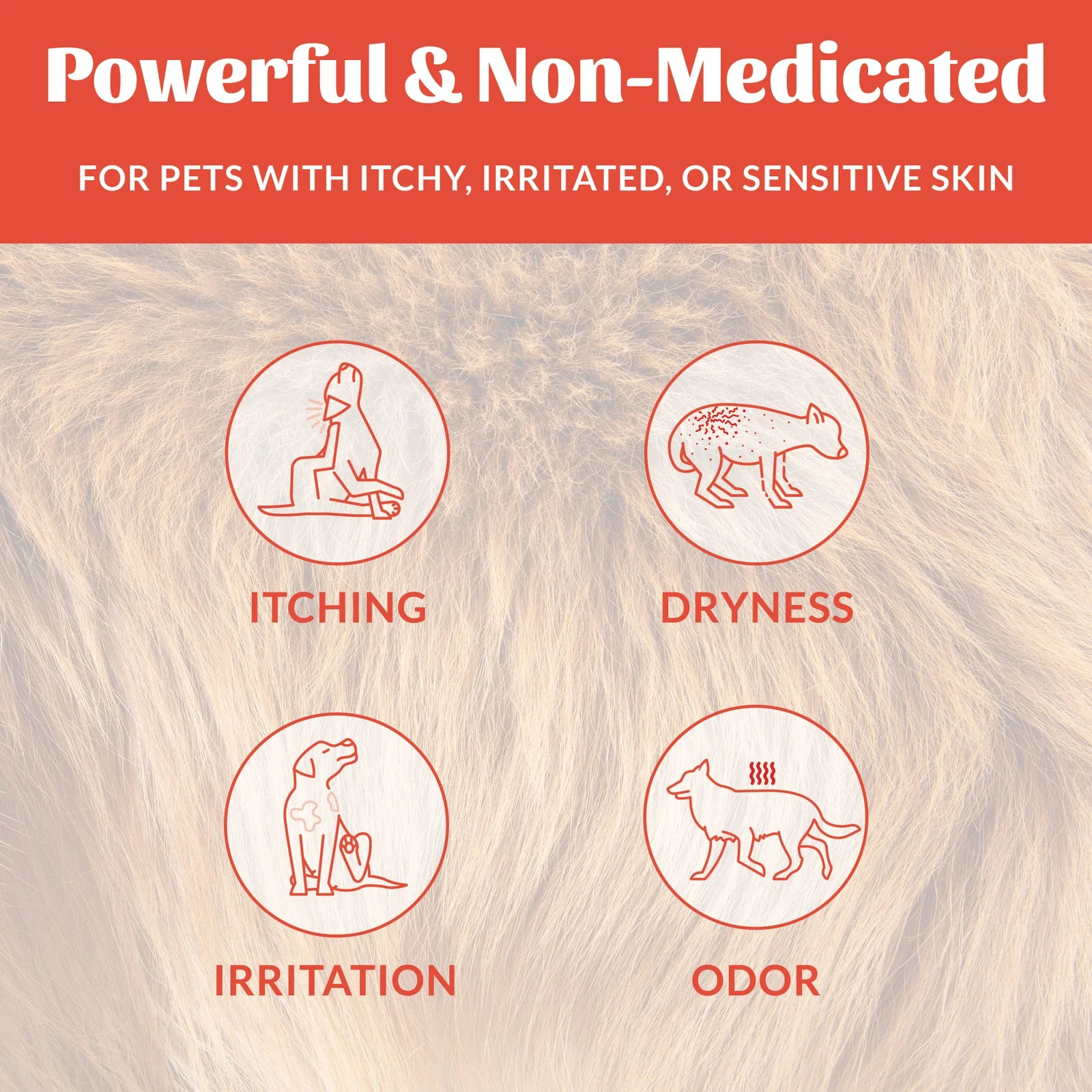 SKOUT'S HONOR DOG PROBIOTIC ITCH RELIEF 8OZ