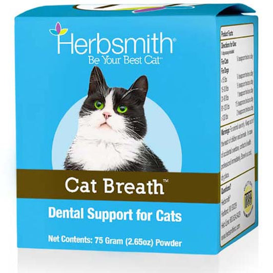 Dental Support for Cats
