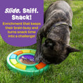 Load image into Gallery viewer, Color Wheel Treat Puzzle & Lick Mat
