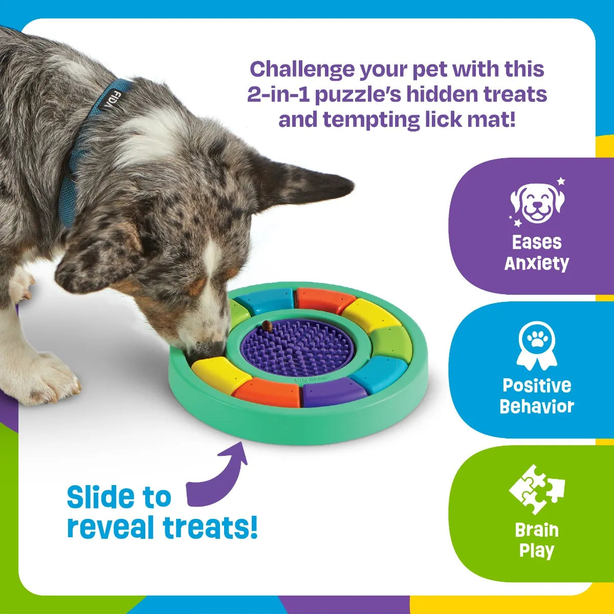 Color Wheel Treat Puzzle & Lick Mat