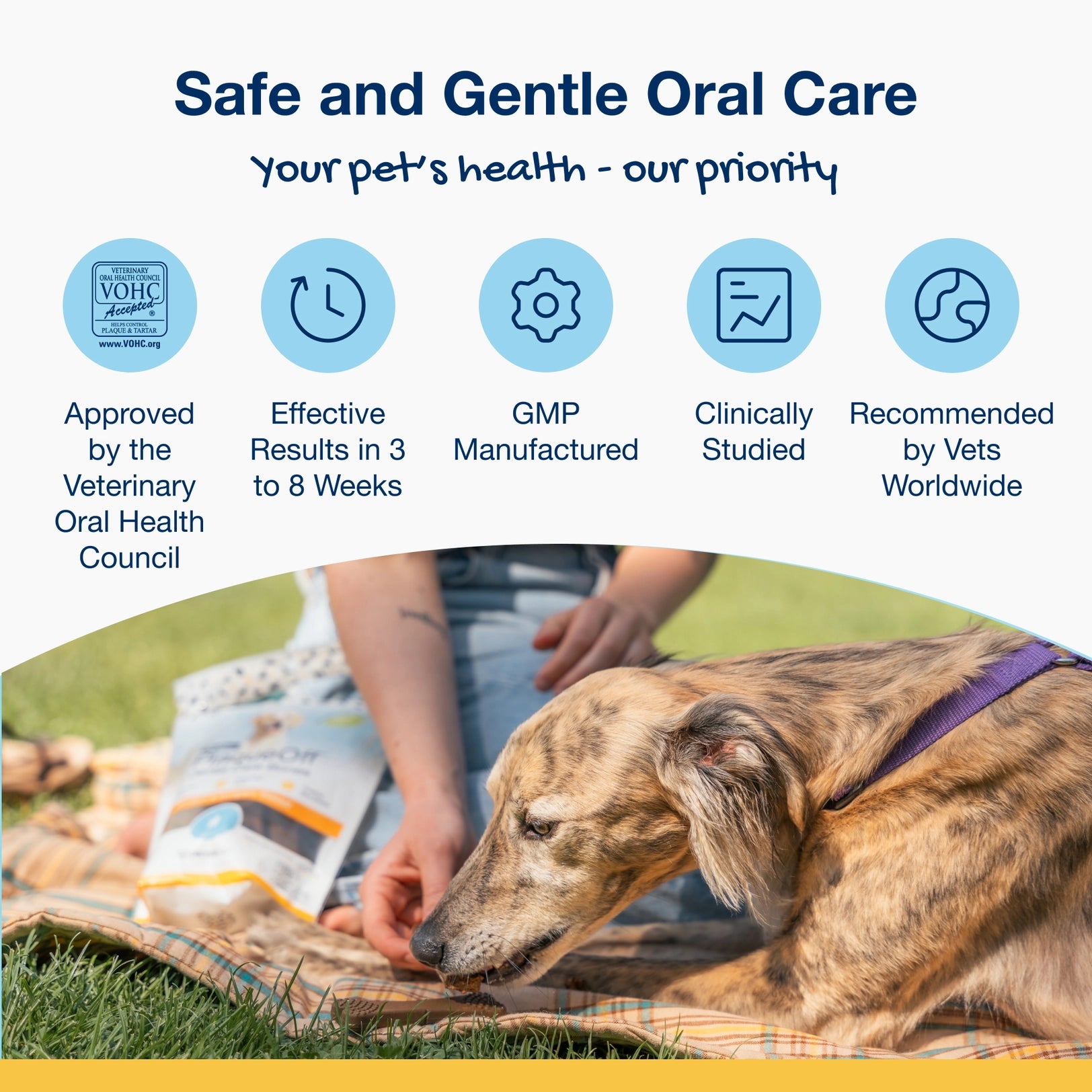 PRODEN DOG PLAQUEOFF DENTAL CARE BONES - CHICKEN & PUMPKIN 17OZ