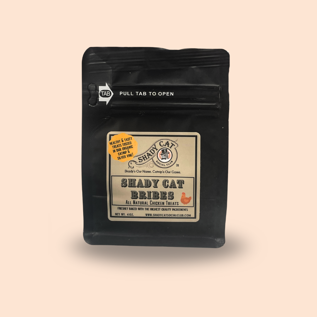 Shady Cat Bribes Chicken Treats