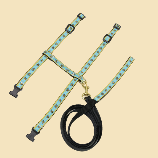 Bee Cat Harness Set