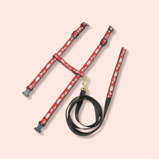 Mouse Cat Harness Set