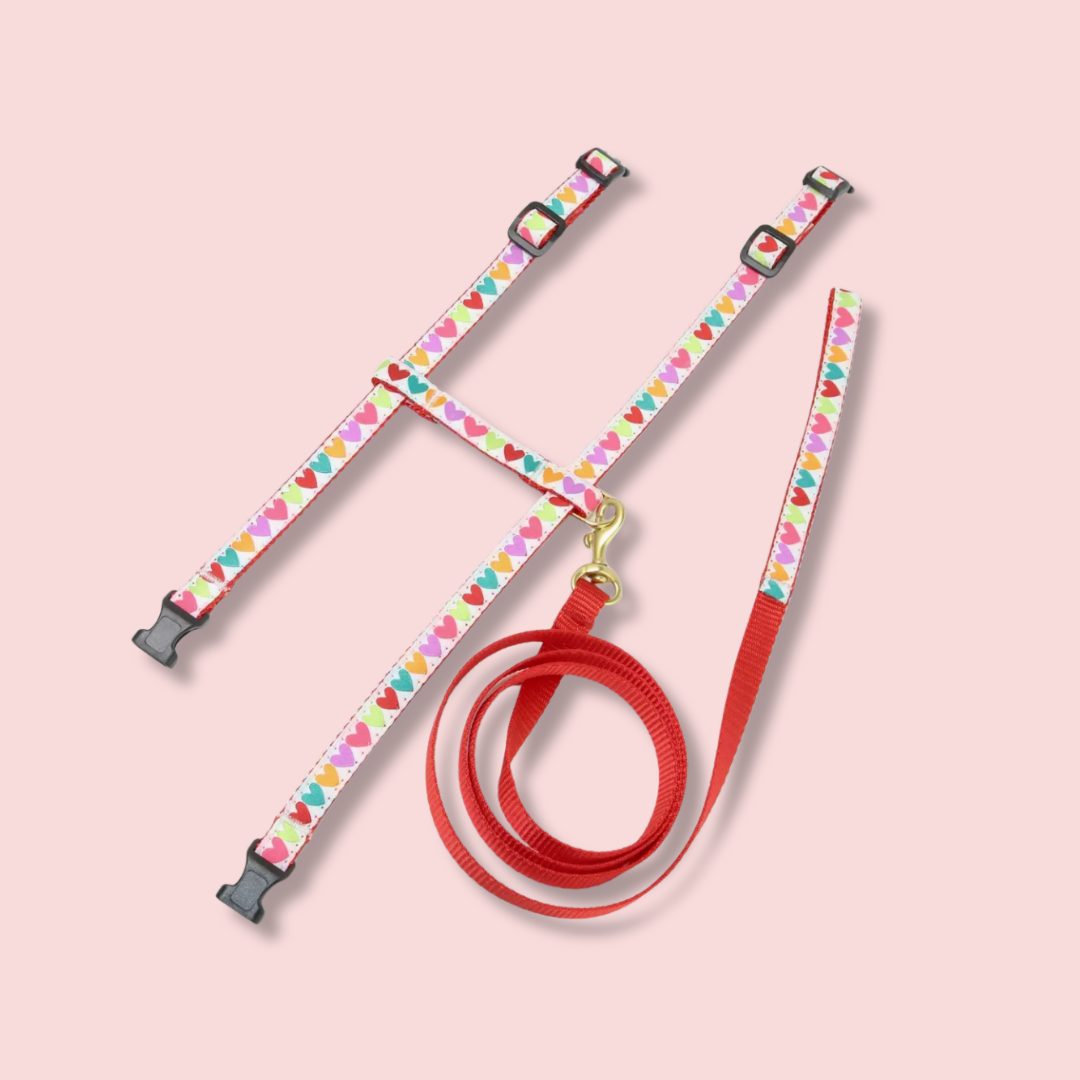 Pop Hearts Cat Harness Set