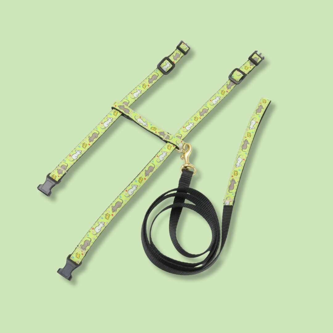 Say Cheese Cat Harness Set