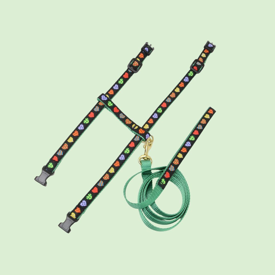 Colorful Hearts Cat Harness Set