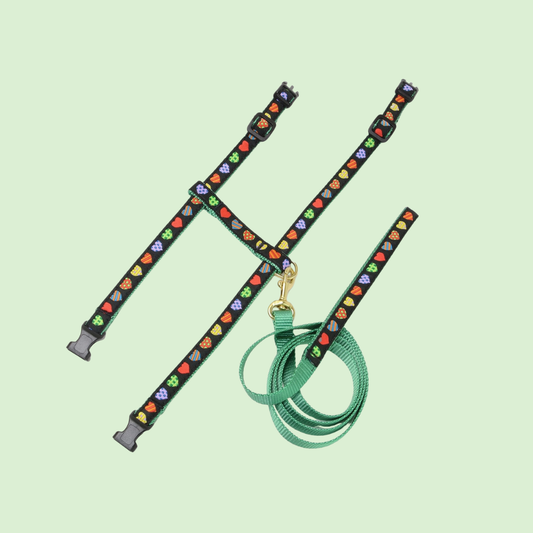 Colorful Hearts Cat Harness Set