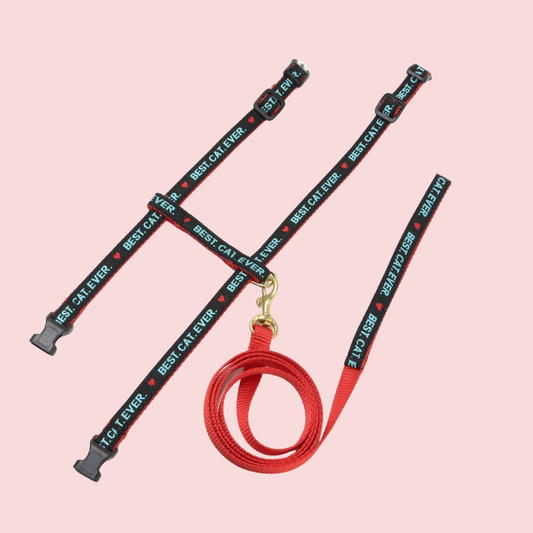 Best Cat Ever Cat Harness Set