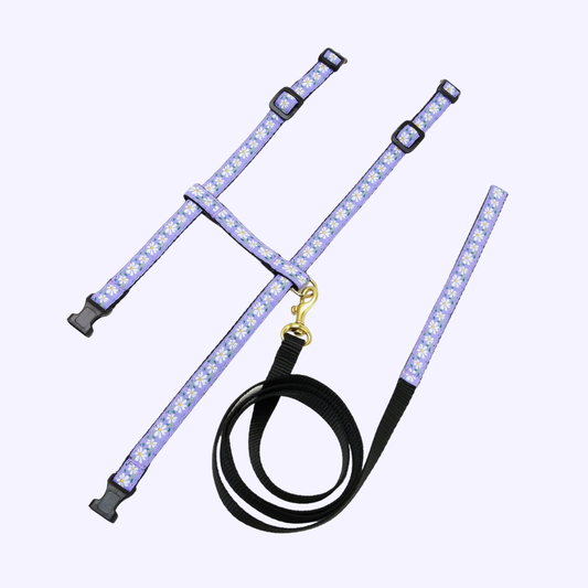 Daisy Cat Harness Set