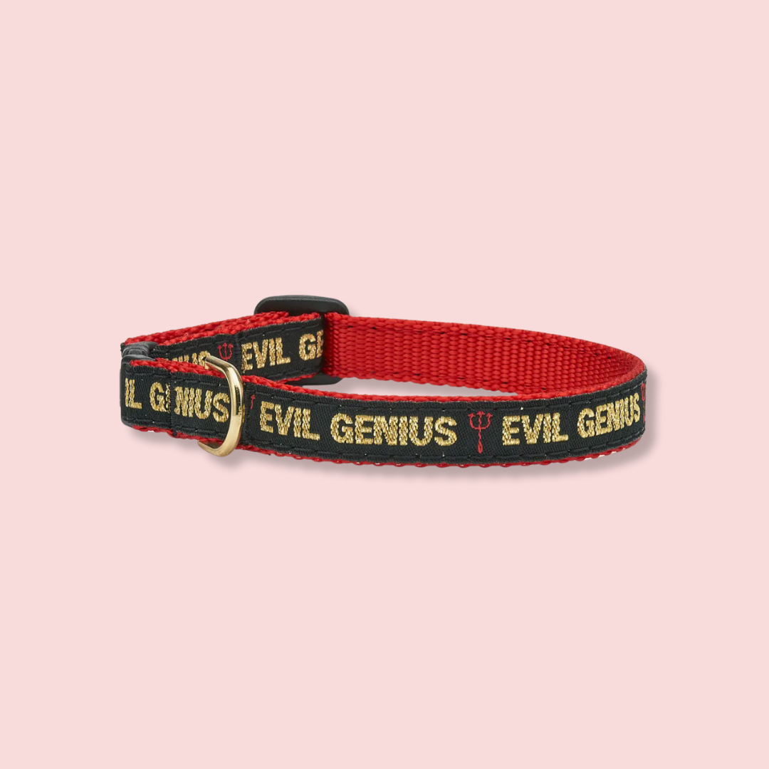 Previously ordered  Evil Genius Cat Collar