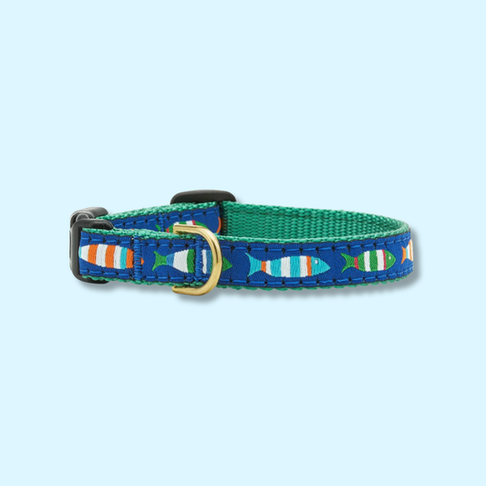 Funky Fish Cat Collar
