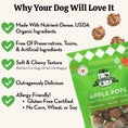 Load image into Gallery viewer, Apple Pops Organic Dog Treats
