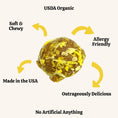 Load image into Gallery viewer, Banana Pops Organic Dog Treats

