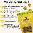 Load image into Gallery viewer, Banana Pops Organic Dog Treats
