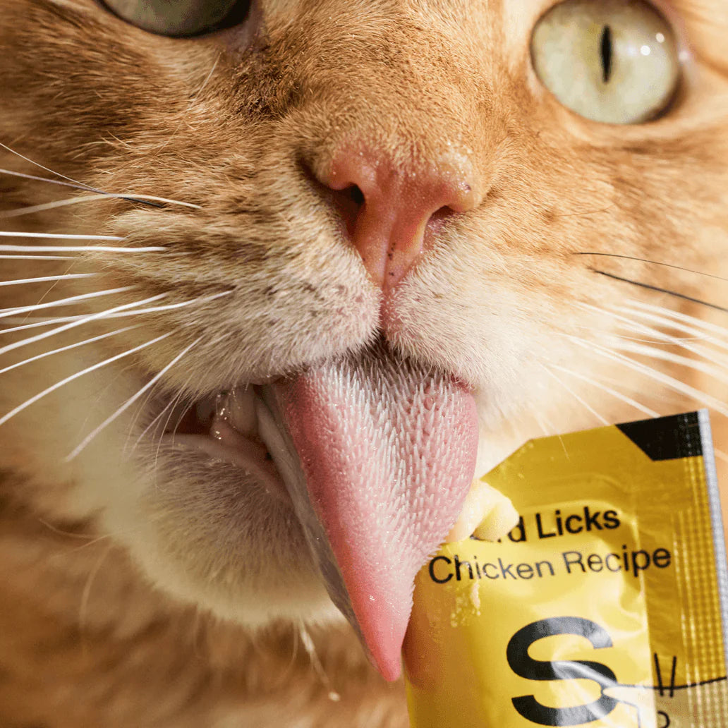 Smalls Bird Licks - Supports Digestion - 8 pack