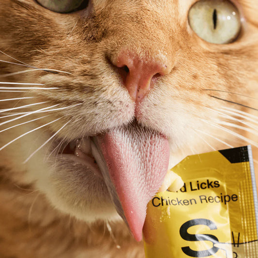 Smalls Bird Licks - Supports Digestion - 8 pack