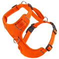 Load image into Gallery viewer, Orange Chesapeake Bay Dog Harness
