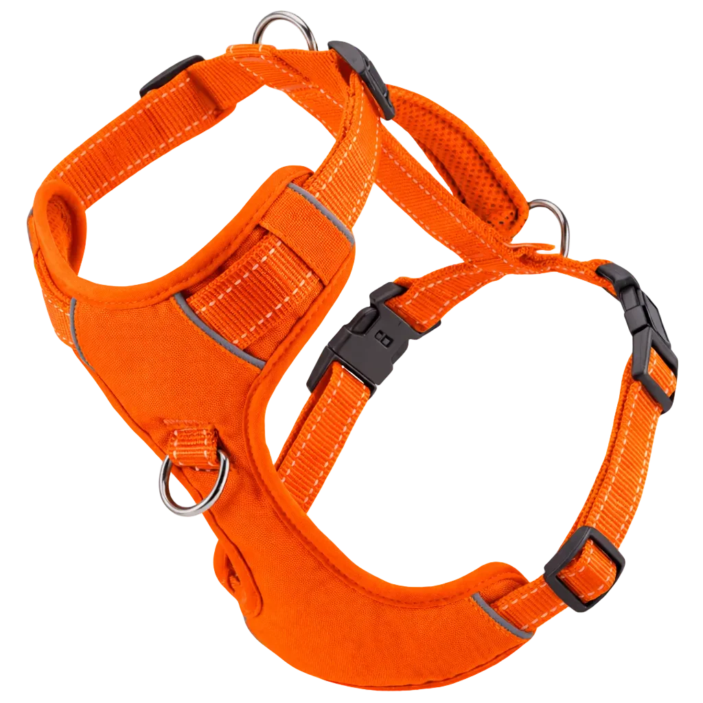 Orange Chesapeake Bay Dog Harness