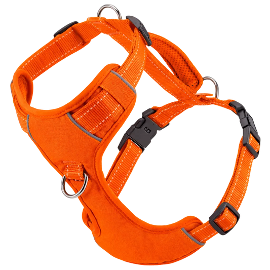 Orange Chesapeake Bay Dog Harness