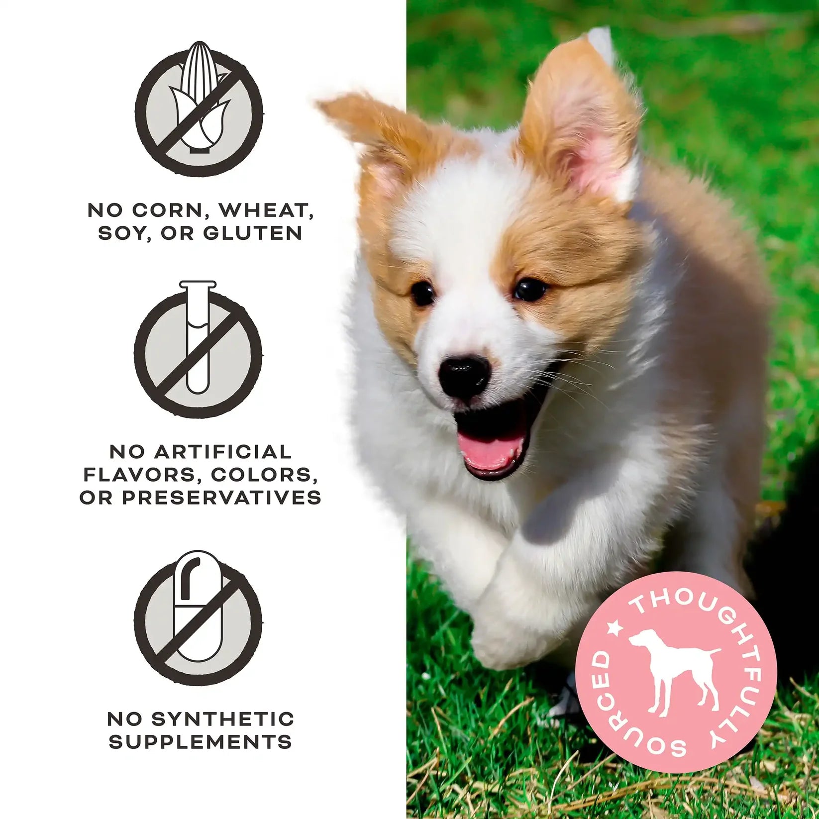 Freeze-Dried Raw Dog Treats - Peelin’ Fantastic