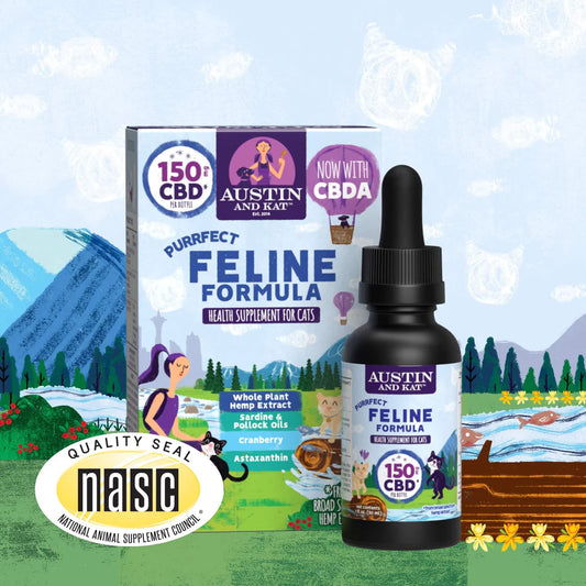 CBD Oil for Cats