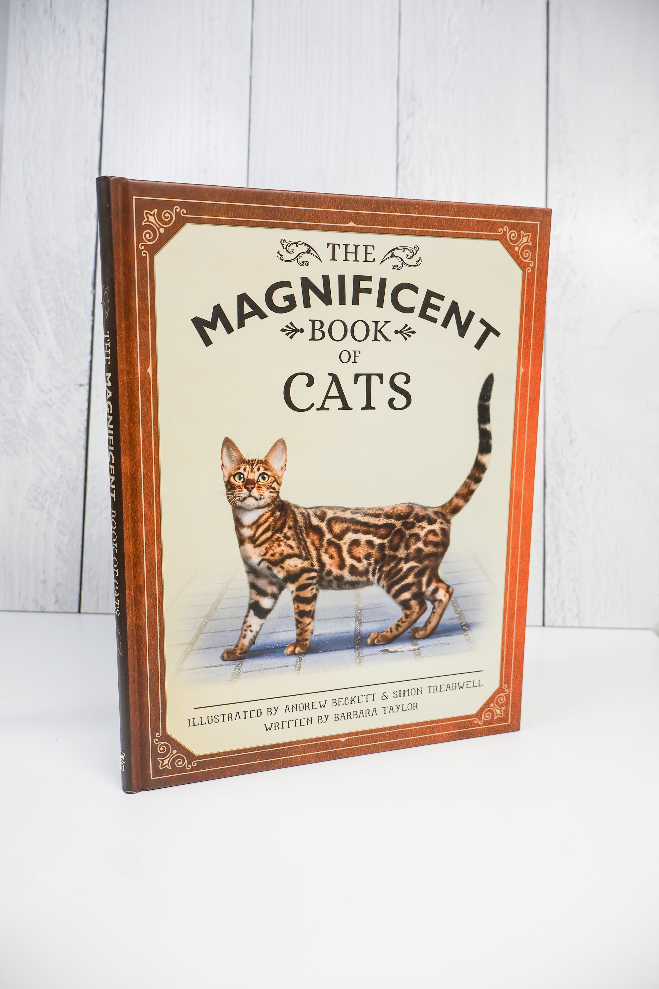 The Magnificent Book Of Cats