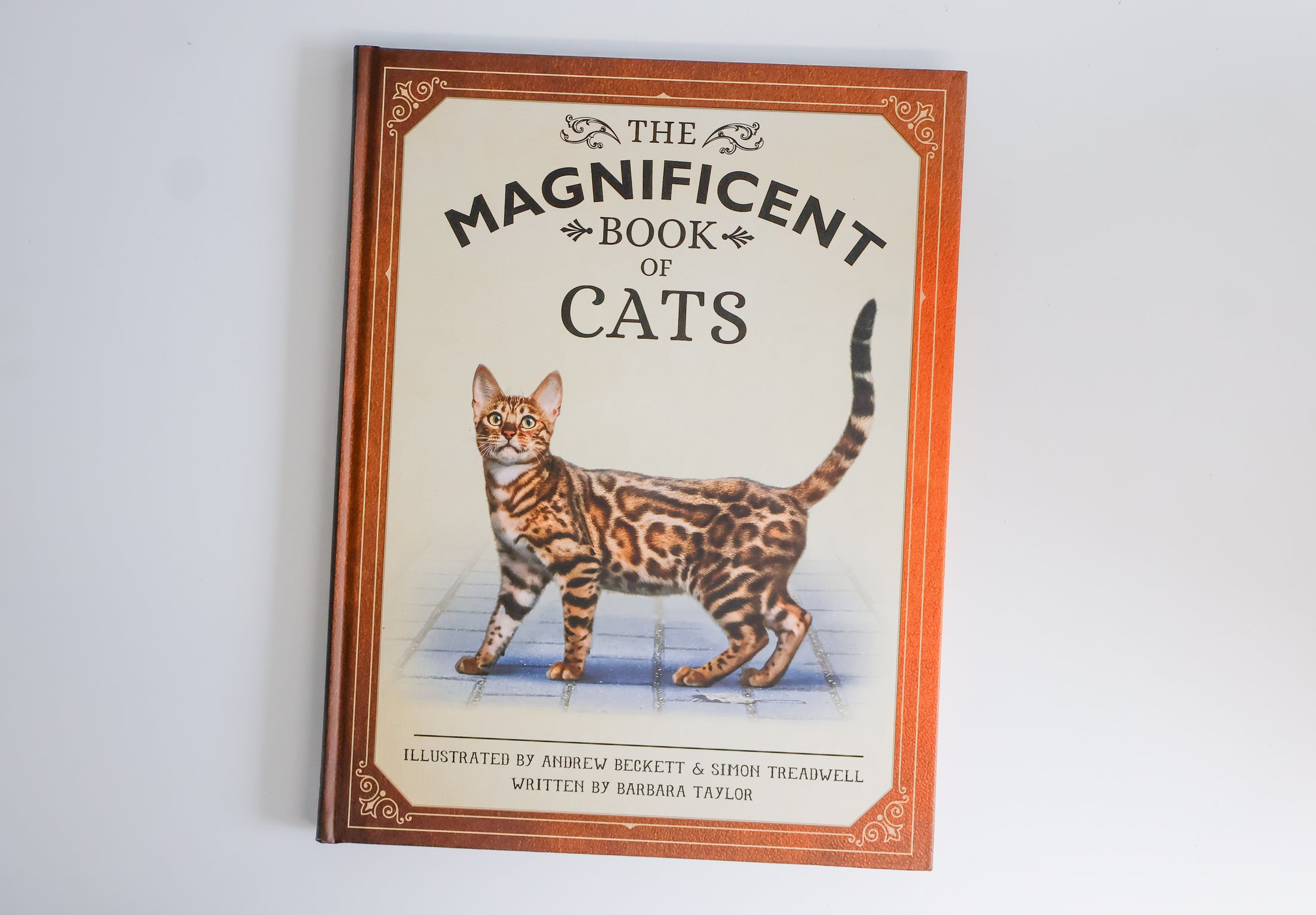 The Magnificent Book Of Cats