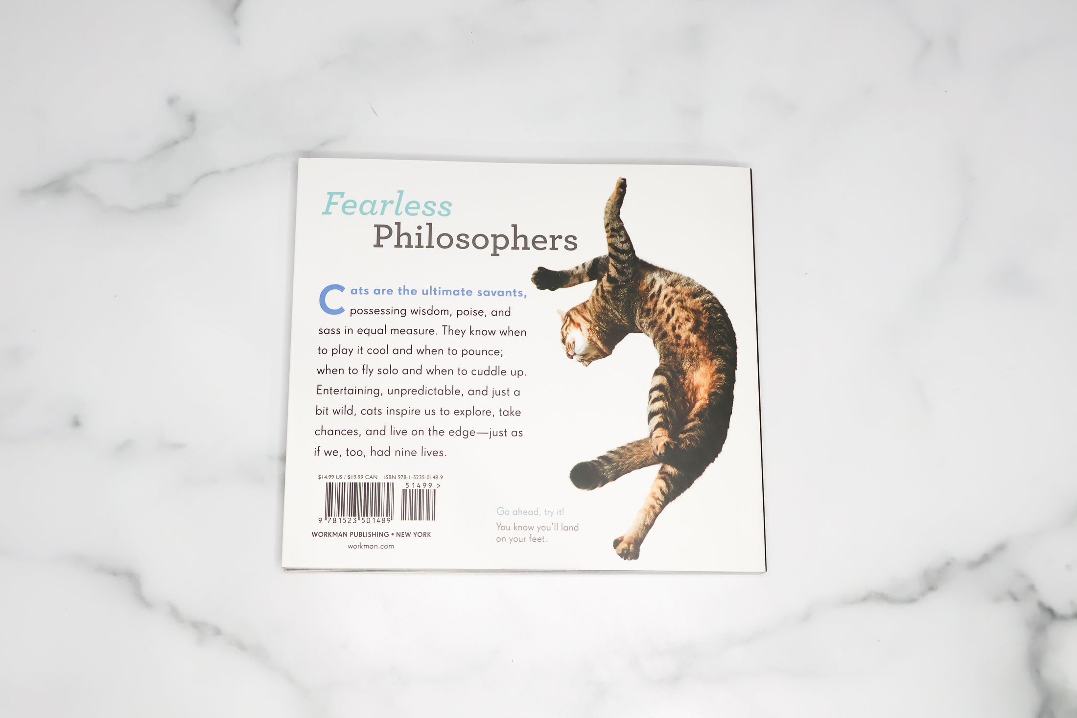 Really Important Stuff My Cat Has Taught Me