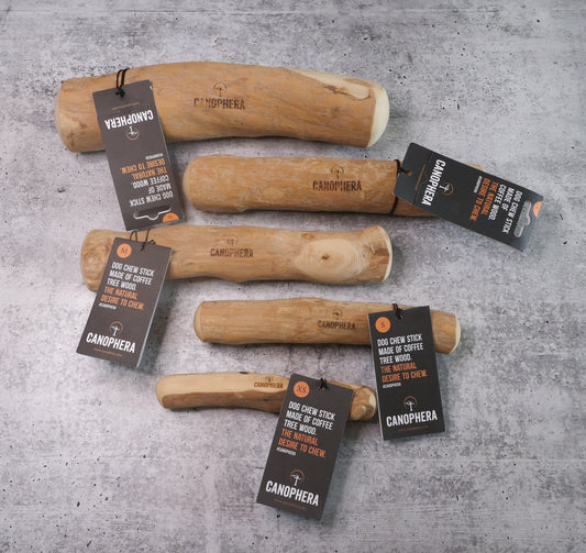 Real Coffee Tree Wood Dog Chew