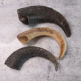 Load image into Gallery viewer, Sheep Horn Dog Chew
