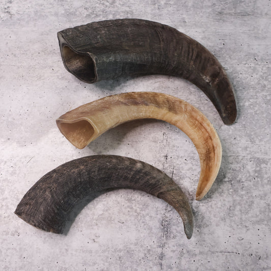 Sheep Horn Dog Chew