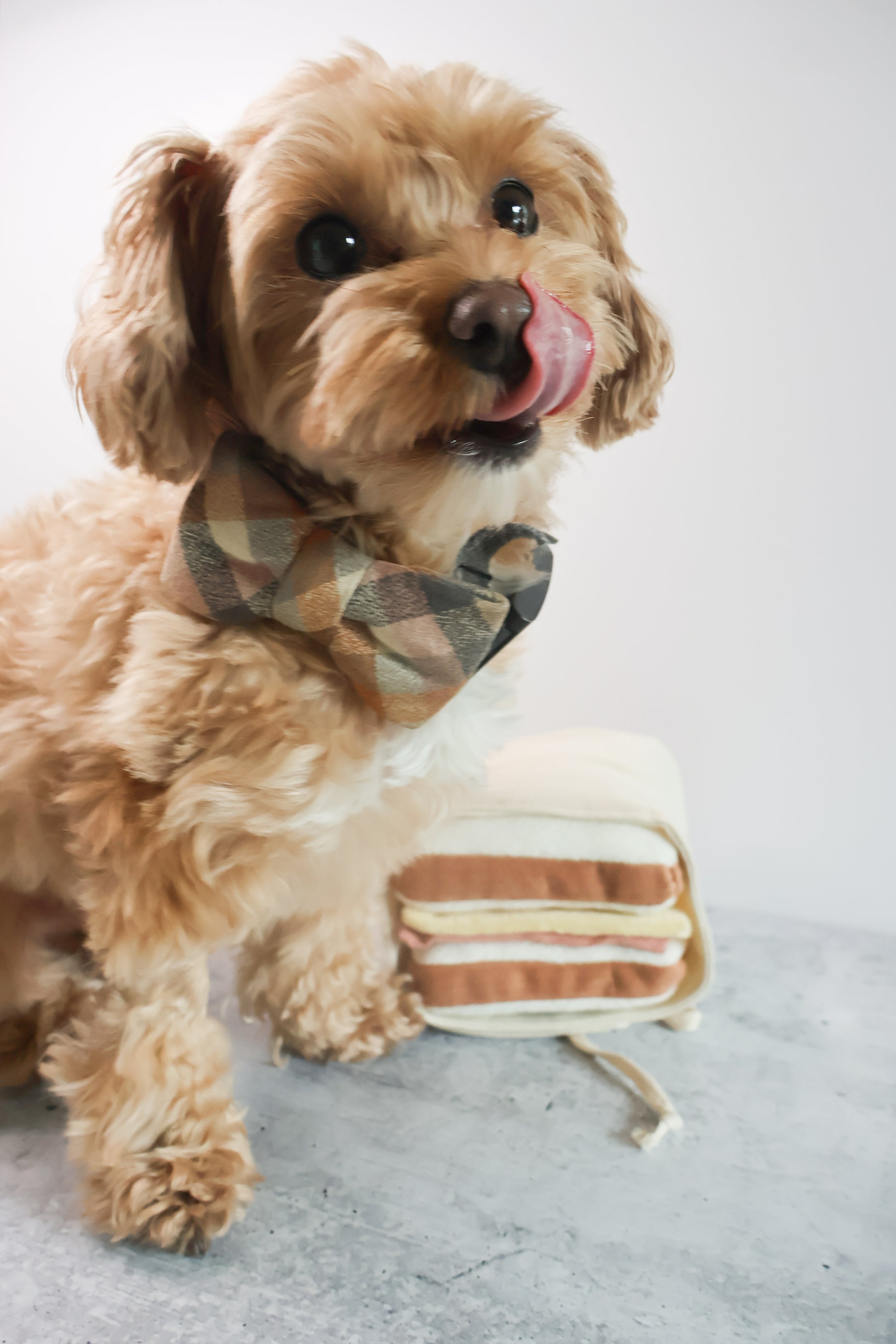 Ham & Cheese Sandwhich Toy