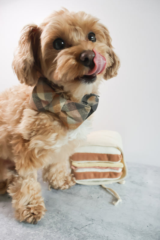 Ham & Cheese Sandwhich Toy