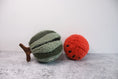 Load image into Gallery viewer, Watermelon Pop Enrichment Toy

