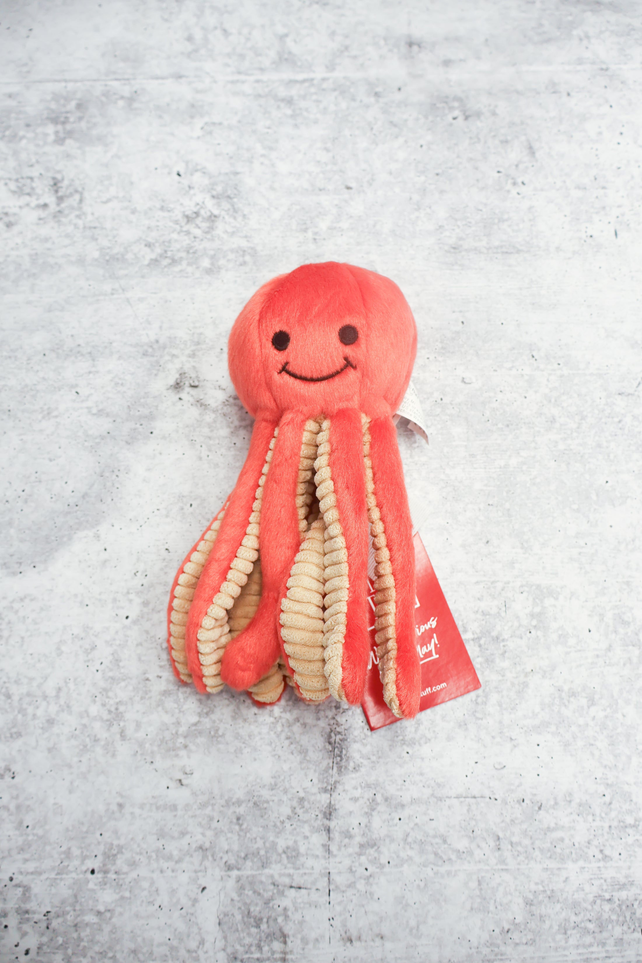 Squirt Octopus
