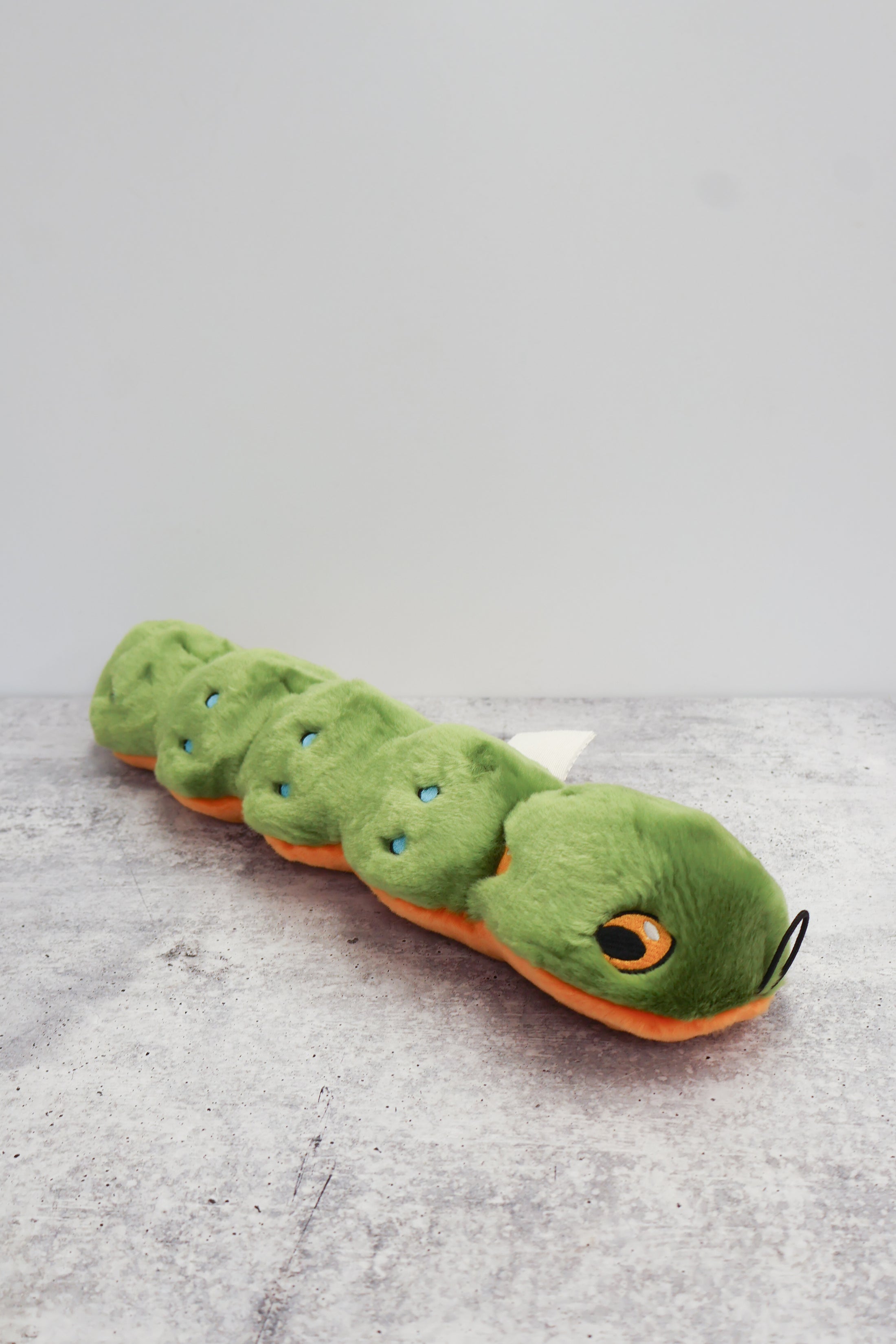 Katie Caterpillar