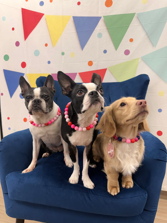 Valentine's Bead Bar Necklaces