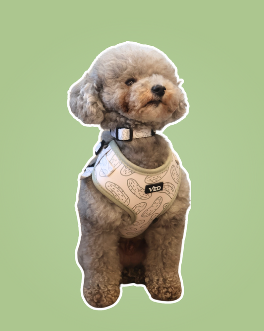 Pickle Harness