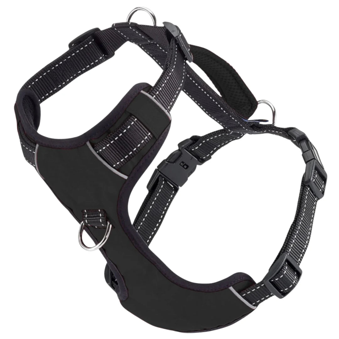 Black Chesapeake Bay Dog Harness