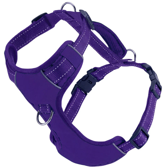 Purple Chesapeake Bay Dog Harness