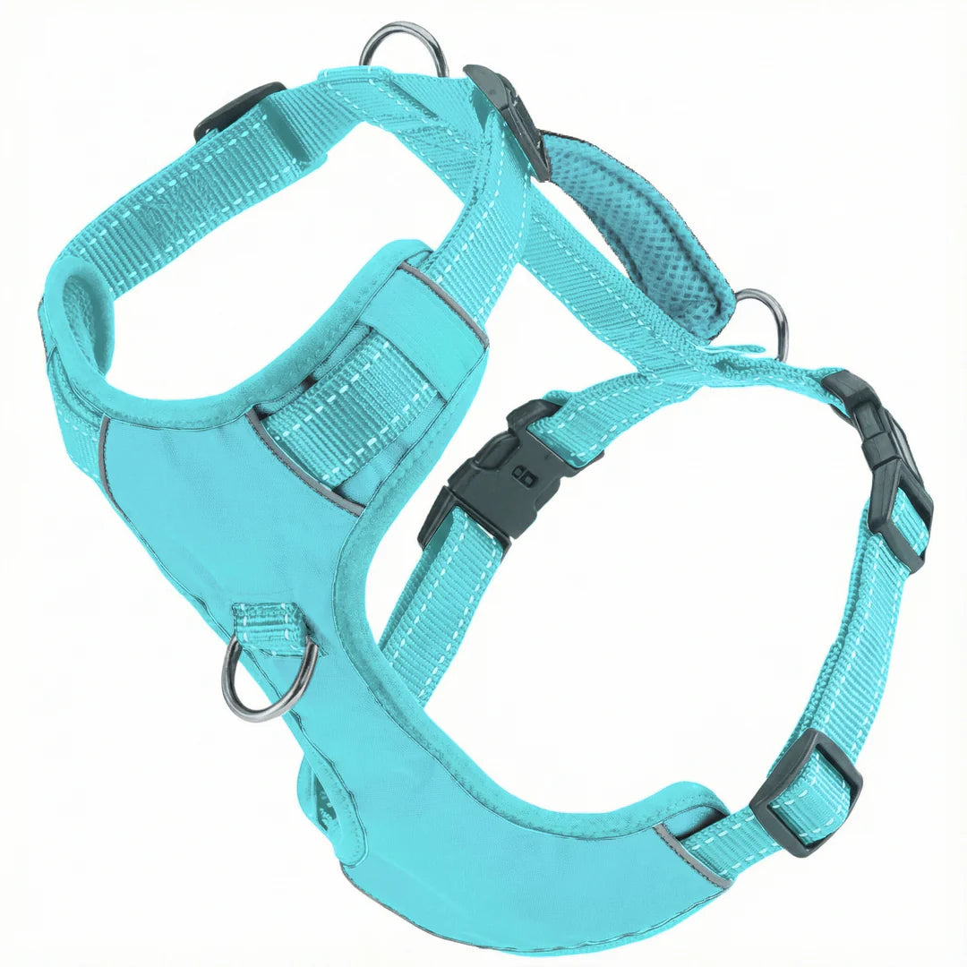 Sea Foam Chesapeake Bay Dog Harness
