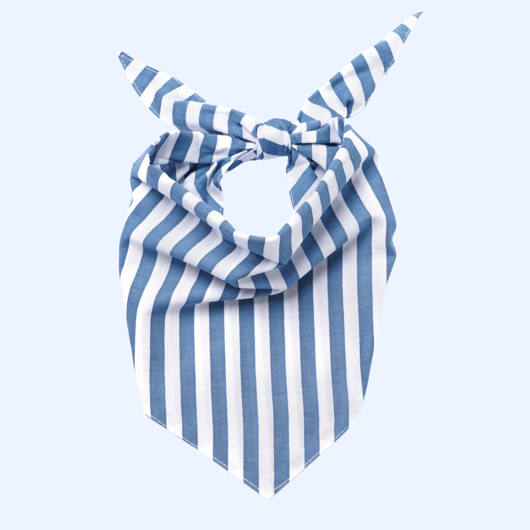 Blue Striped Bandana