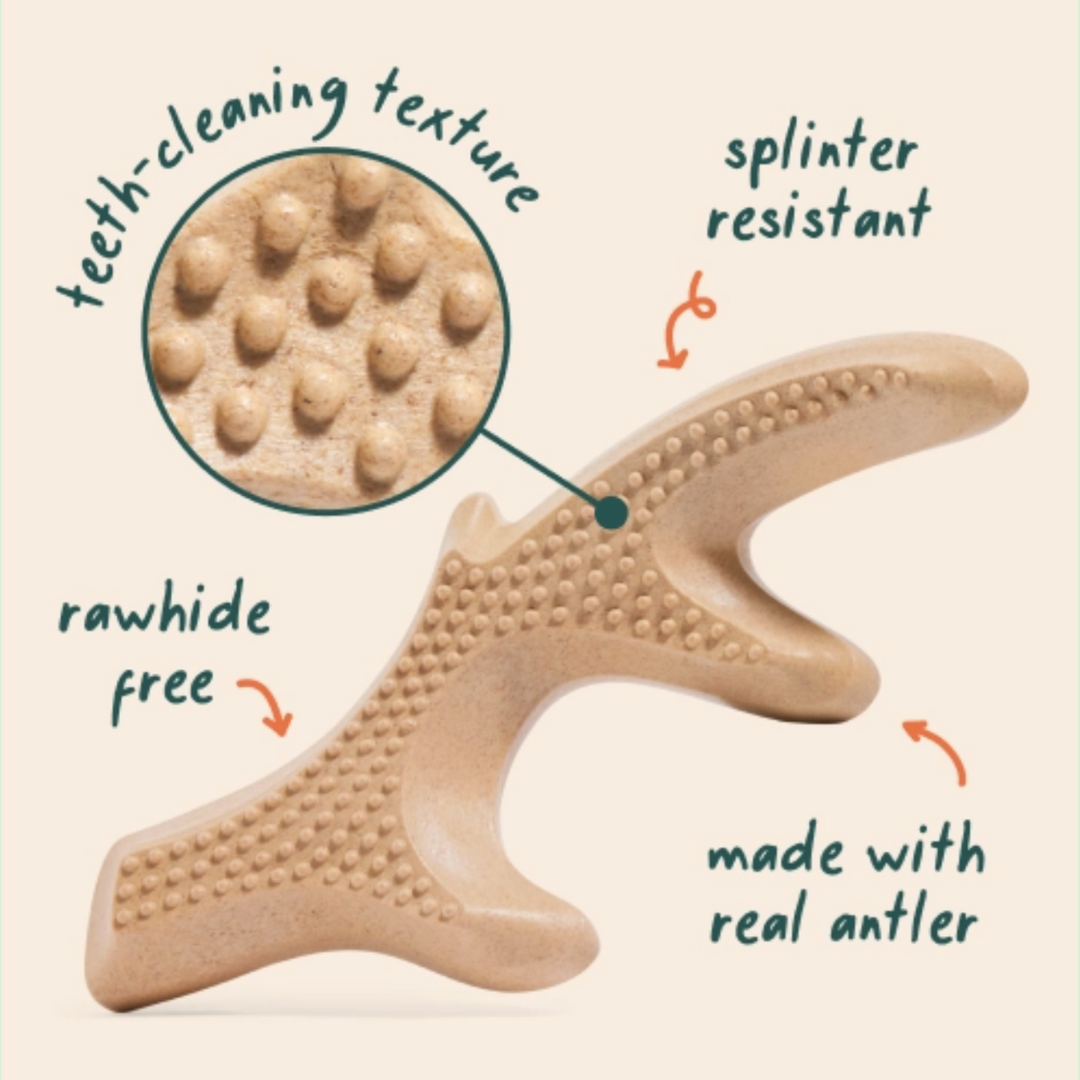 WOOF Honestchew - Antler