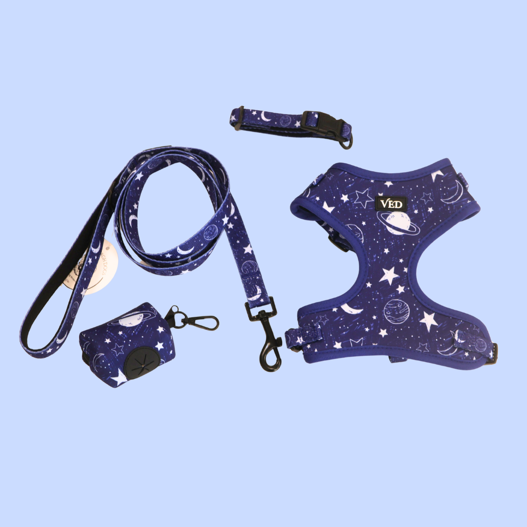 Orion Pet Harness