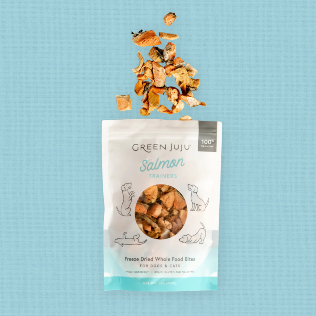 Green Juju Salmon Trainers