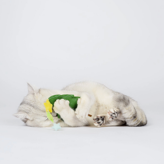 Christmas Tree Teaser