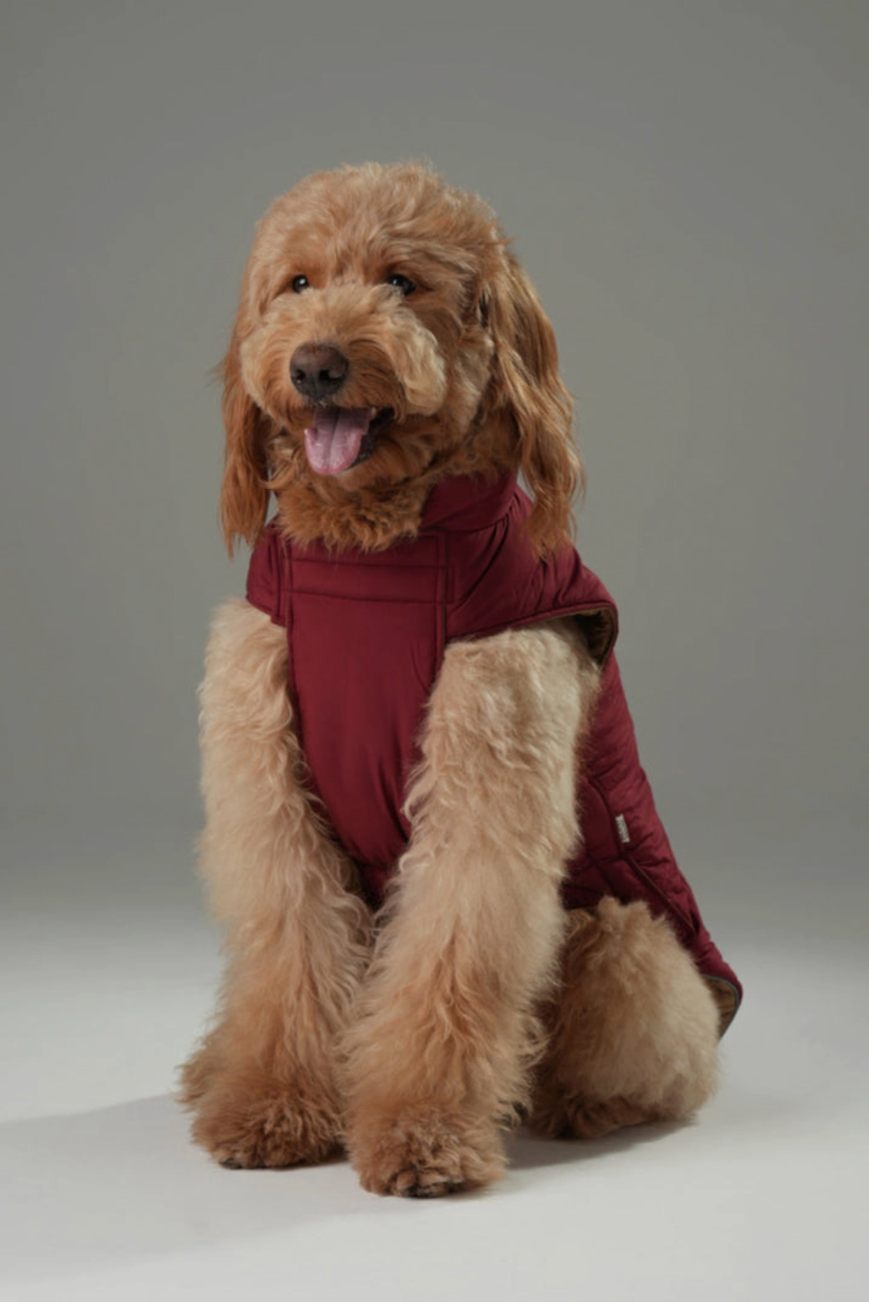 Reversible Dog Vest Jacket - Red Brown